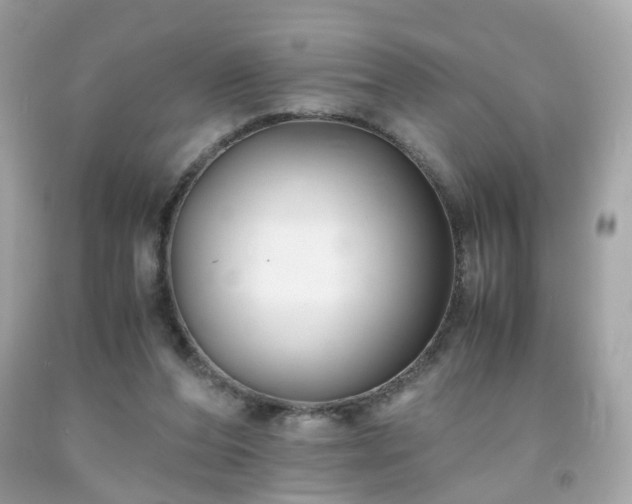 X0000091940208200709121625