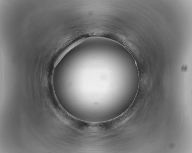 X0000091940209200709121625