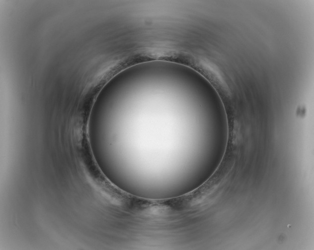 X0000091940210200709121625