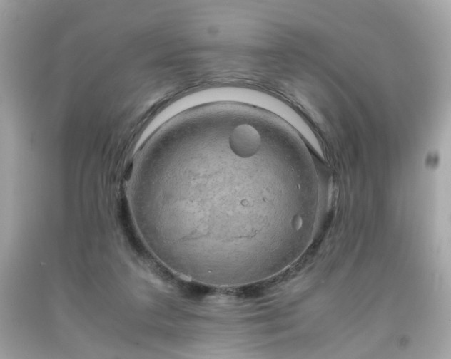 X0000091940211200709121625