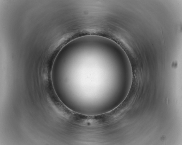 X0000091940212200709121625