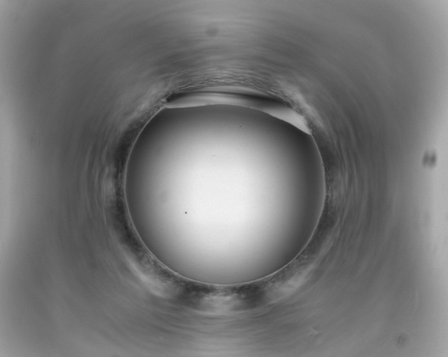 X0000091940213200709121625