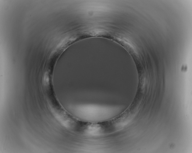 X0000091940214200709121625