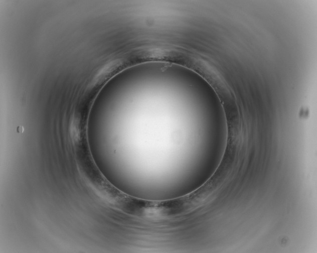 X0000091940216200709121625