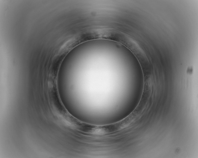 X0000091940218200709121625