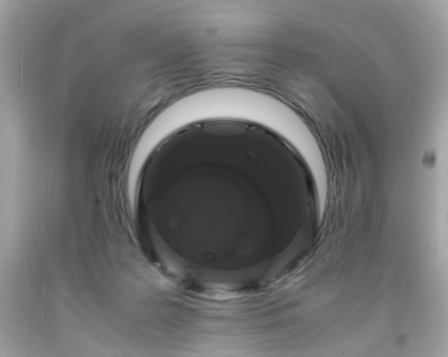 X0000091940219200709121625