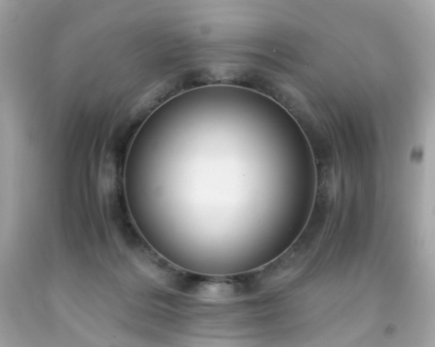 X0000091940220200709121625