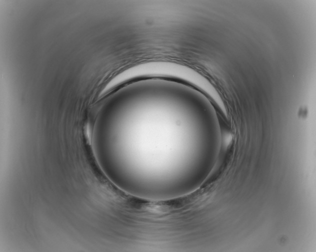 X0000091940221200709121625