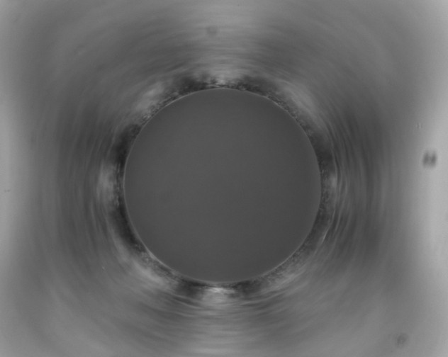 X0000091940222200709121625