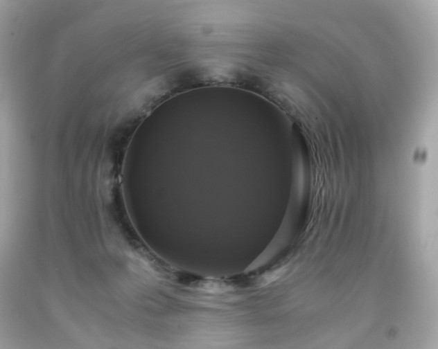 X0000091940223200709121625