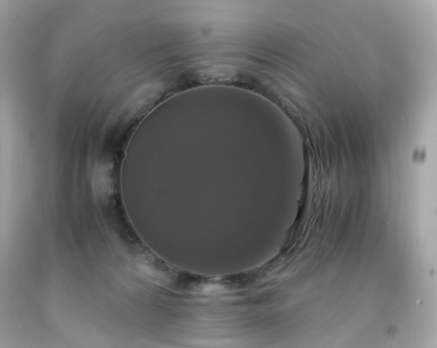 X0000091940224200709121625