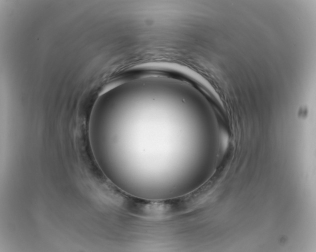 X0000091940225200709121625