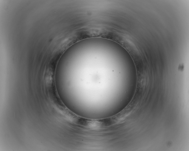 X0000091940226200709121625