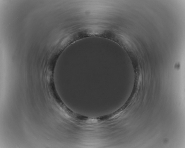 X0000091940227200709121625