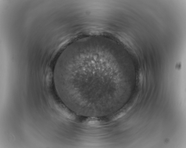 X0000091940228200709121625