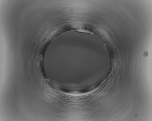 X0000091940229200709121625