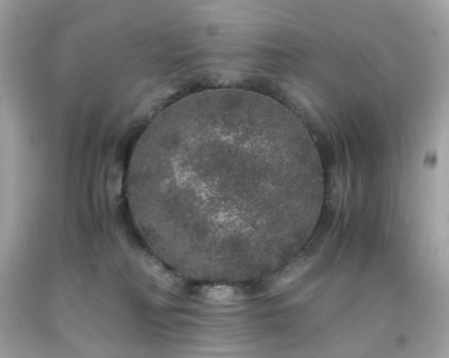 X0000091940230200709121625