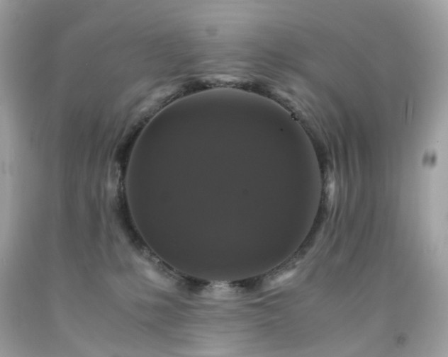 X0000091940231200709121625