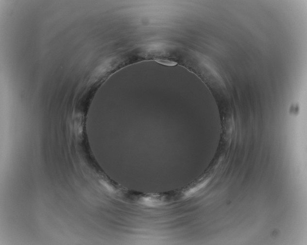 X0000091940232200709121625