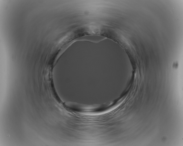 X0000091940233200709121625