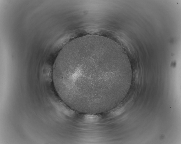 X0000091940234200709121625