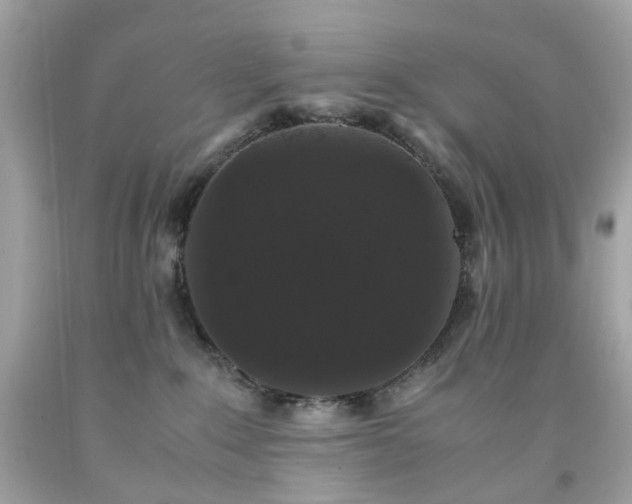 X0000091940235200709121625