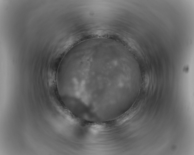 X0000091940236200709121625