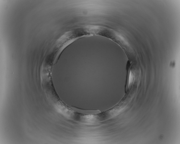 X0000091940237200709121625