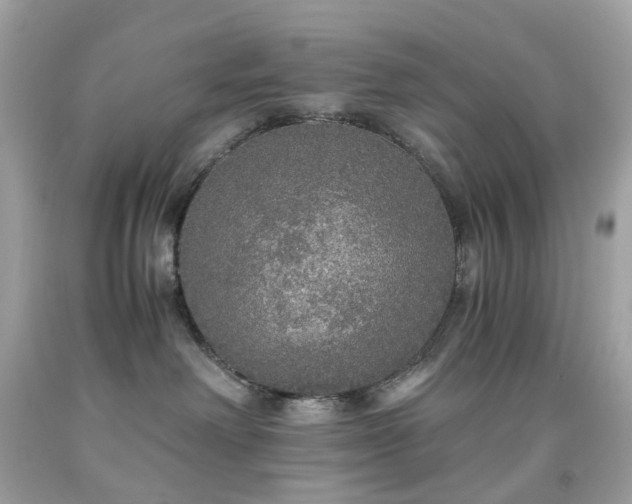 X0000091940238200709121625