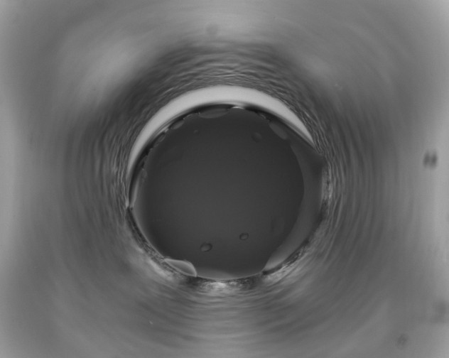 X0000091940239200709121625