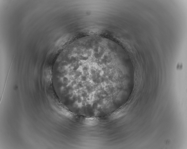 X0000091940240200709121625