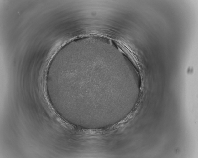 X0000091940241200709121624