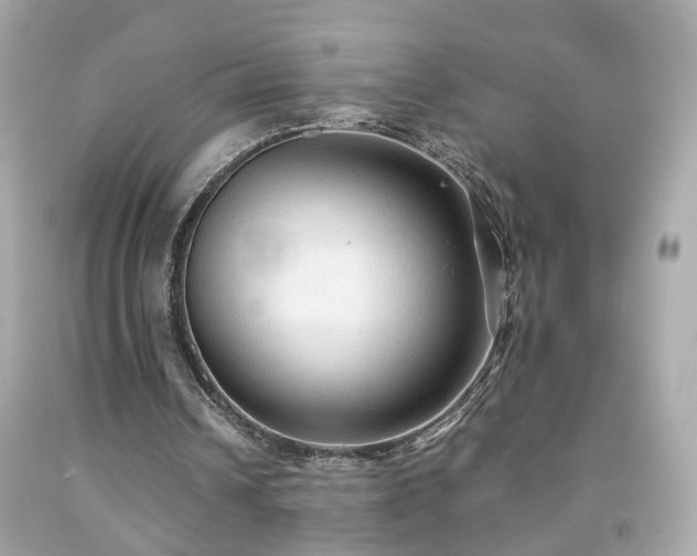 X0000091940242200709121624