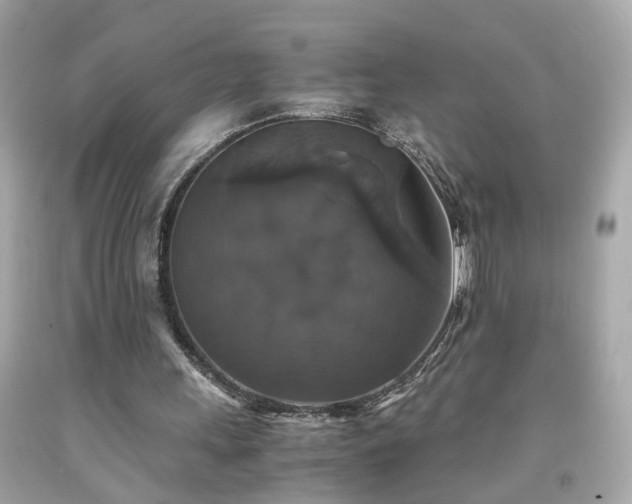 X0000091940243200709121624