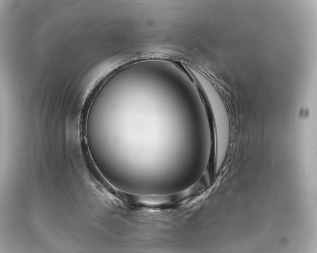 X0000091940244200709121624