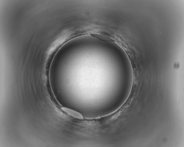 X0000091940245200709121624