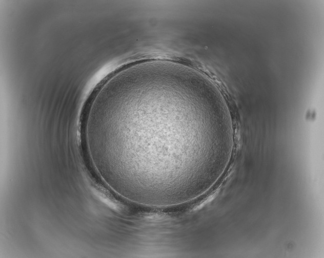 X0000091940246200709121624