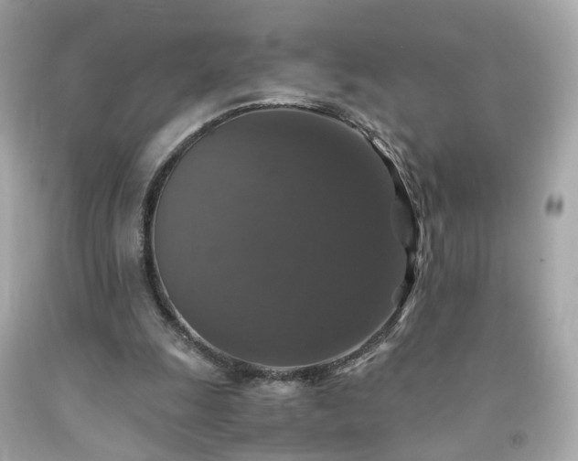 X0000091940247200709121625