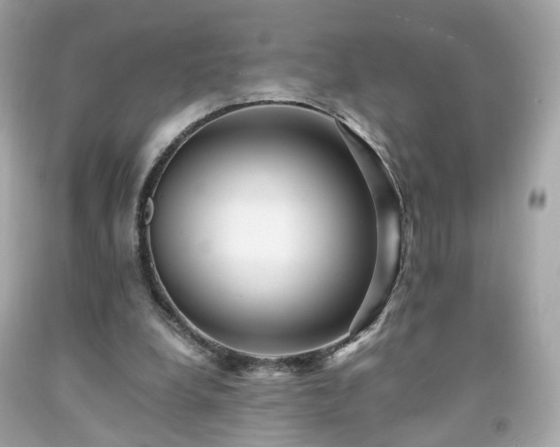 X0000091940248200709121625