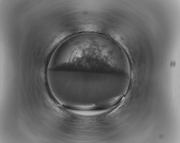 X0000091940249200709121625