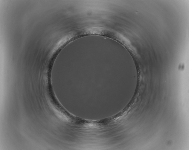 X0000091940250200709121625