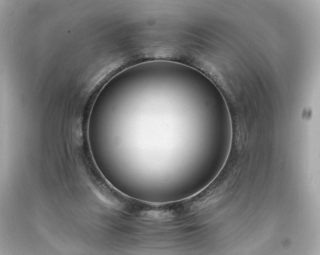 X0000091940251200709121625