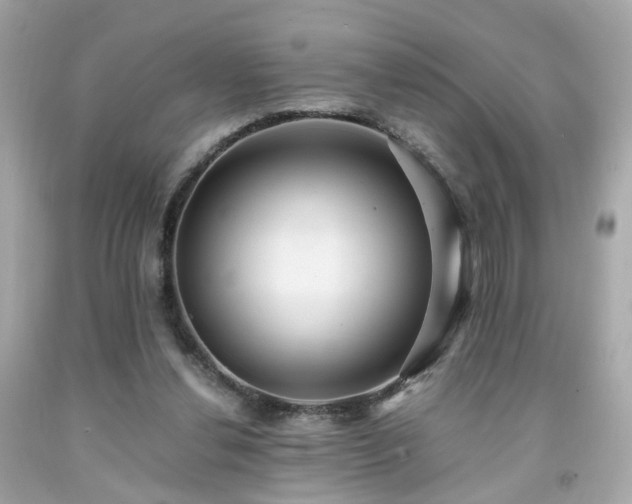 X0000091940252200709121625