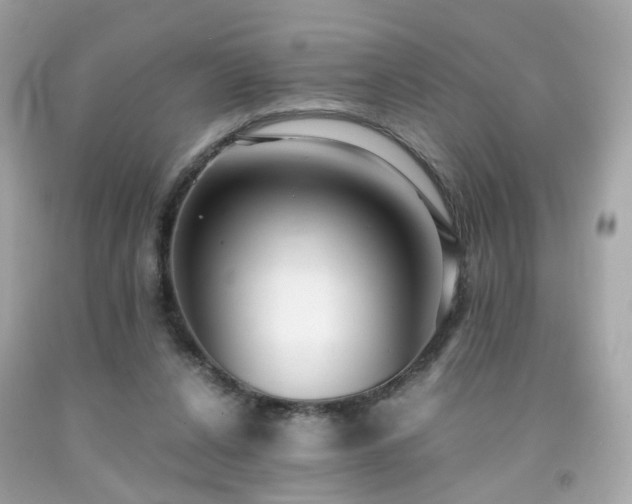 X0000091940256200709121625