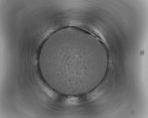 X0000091940257200709121625