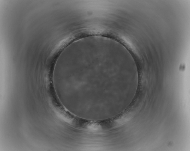 X0000091940258200709121625