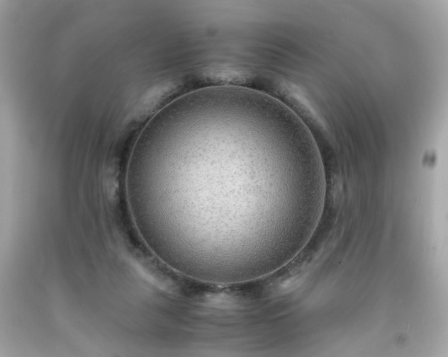 X0000091940259200709121625