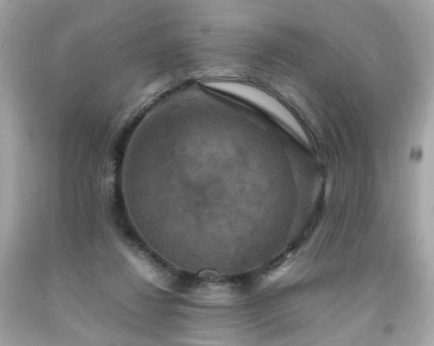 X0000091940260200709121625