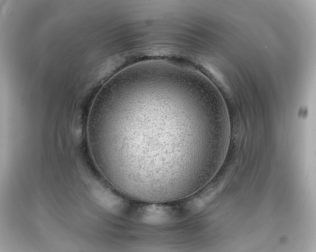 X0000091940261200709121625