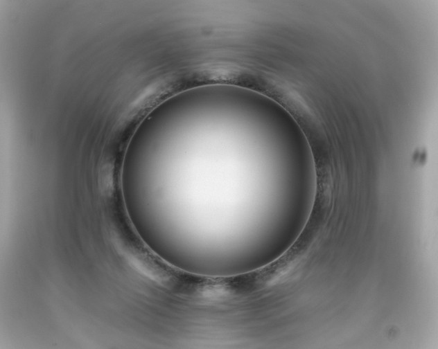 X0000091940262200709121625